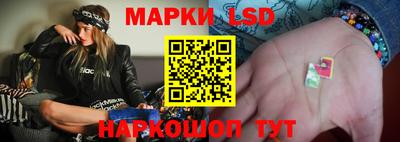 прущие крисы Будённовск