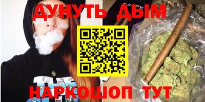 прущие крисы Будённовск